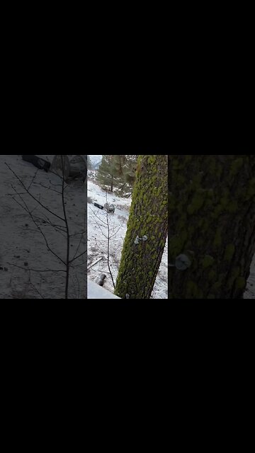 Winter Again!! #winter