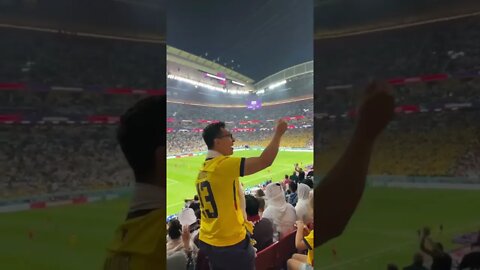 An Ecuadorian fan provokes the Qatari audience!!!