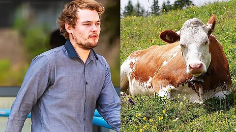 Man pleads guilty to s*x with cow