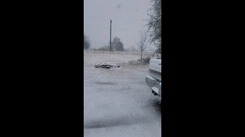 Cold day in Texas