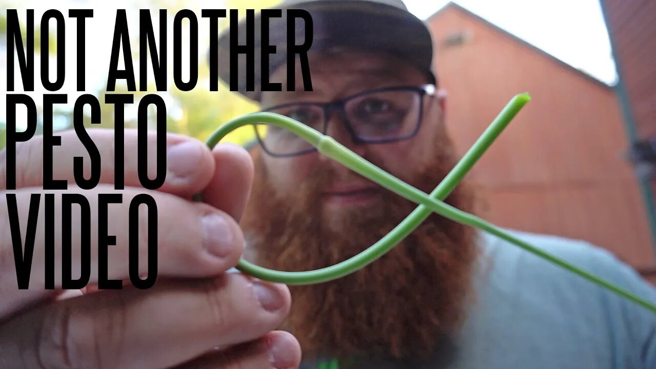 Garlic Scapes: The Gardeners Best Kept Secret