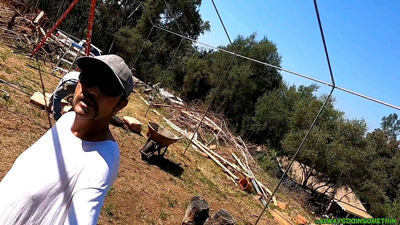 Concrete Aviary in ground