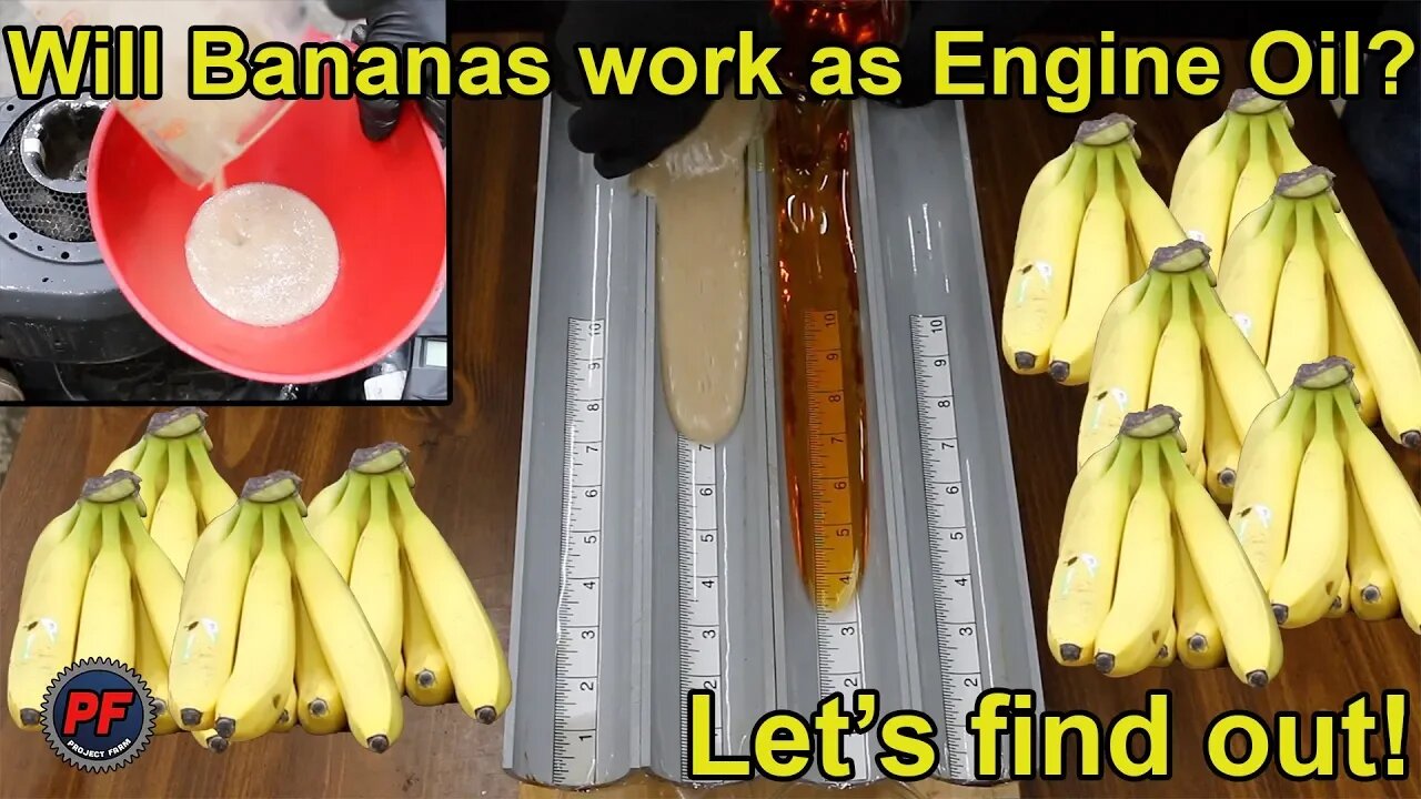 Will Bananas work as Engine Oil? Let's find out!