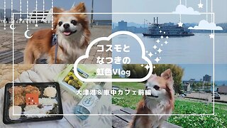 虹V25 夢が叶った！コスモしゃんと大津港でお散歩♪スペーシア車中カフェ！鶏南蛮弁当と琵琶湖サイダー(≧▽≦)