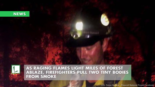 As Raging Flames Light Miles of Forest Ablaze, Firefighters Pull Two Tiny Bodies from Smoke