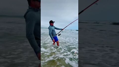 That big fish summer vibes!