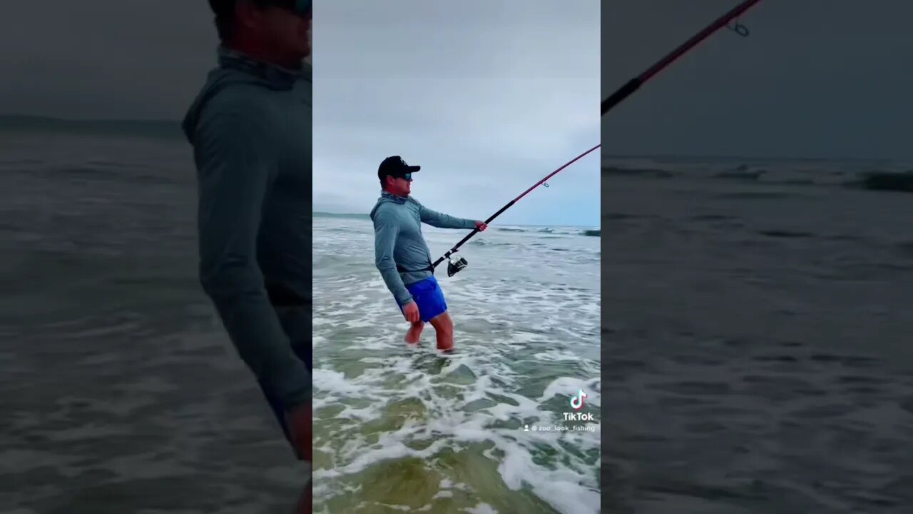 That big fish summer vibes!