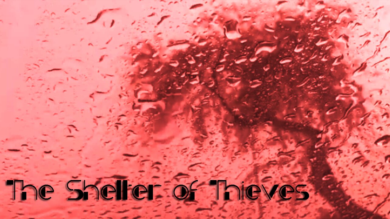 The Shelter Of Thieves