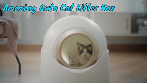 5 Cool Auto Cat Litter Box