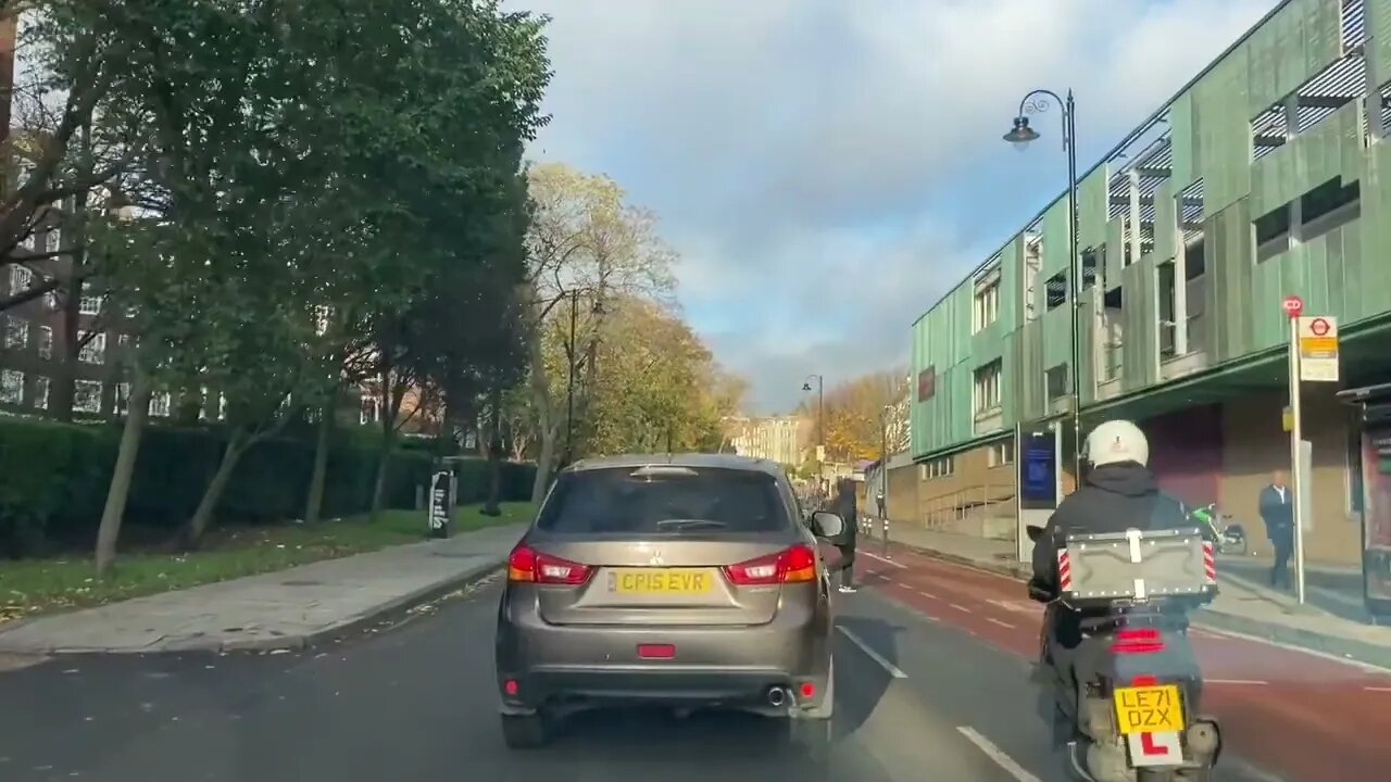 Morning drive with Romeo