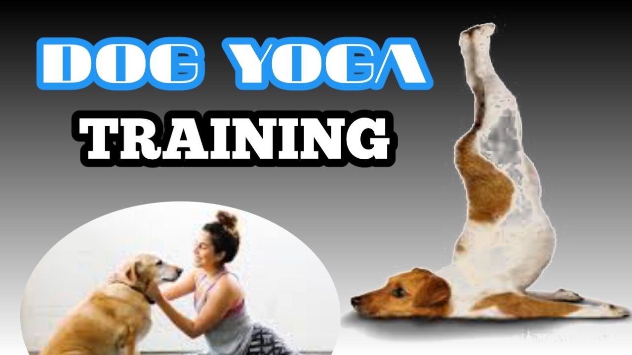 Dog Yoga Trening home_dogfun