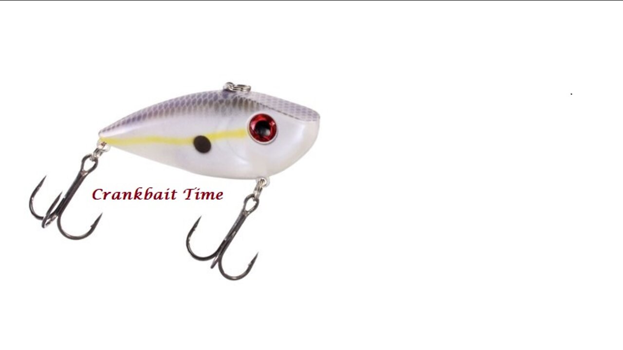 crankbait time on chickamauga lake