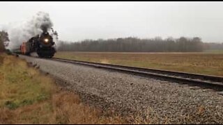 Un cerf défie la mort à quelques secondes du passage d'un train