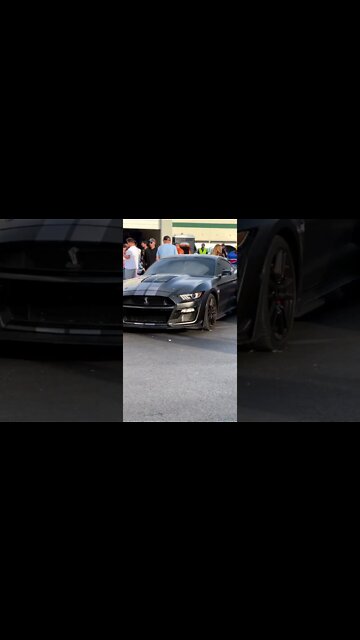 Just Chilling #ford #mustangsociety #fordperformance #fordracing #shelby #shorts