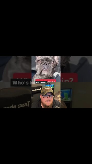 Here’s Your Dose of REALarious…🤣🤣🤣 with @frenchiesbulldogworld #funny #duet #makeyoulaugh