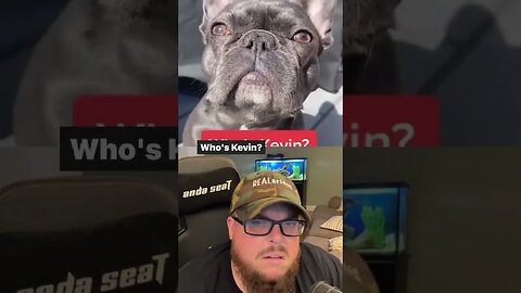 Here’s Your Dose of REALarious…🤣🤣🤣 with @frenchiesbulldogworld #funny #duet #makeyoulaugh