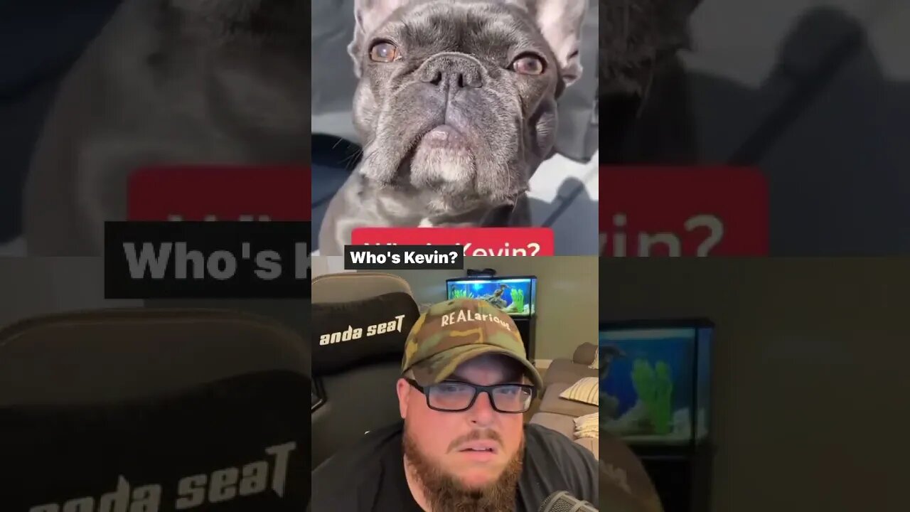 Here’s Your Dose of REALarious…🤣🤣🤣 with @frenchiesbulldogworld #funny #duet #makeyoulaugh