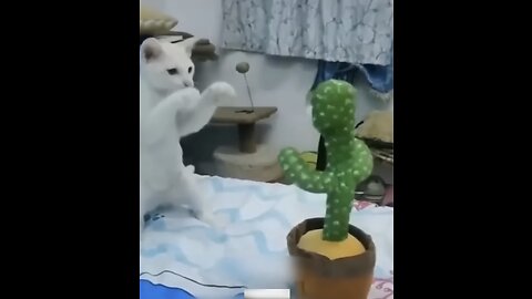 Funny Animal Videos Of The Day 0030! 😂😂 #fyp #memes #memedaily #dankmemes