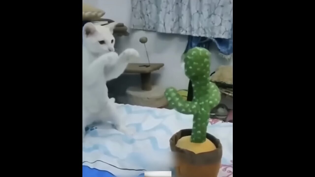 Funny Animal Videos Of The Day 0030! 😂😂 #fyp #memes #memedaily #dankmemes