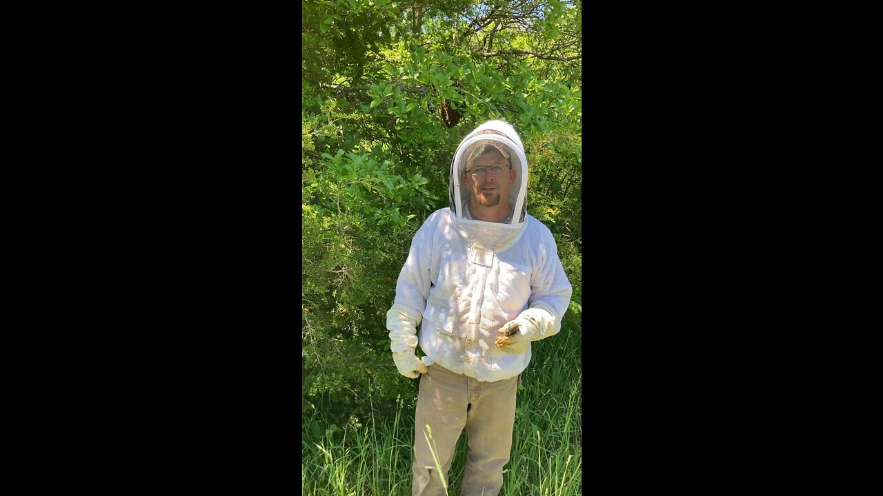 First swarm capture of 2022