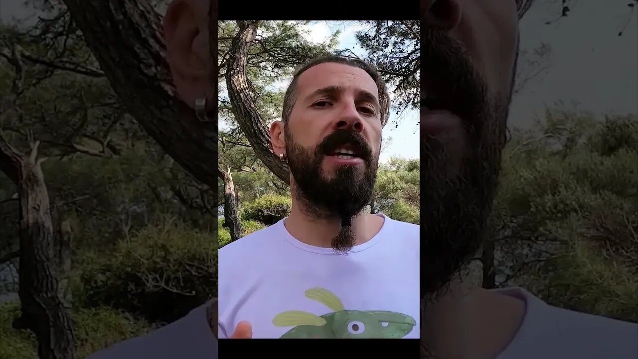 Viking gemilerinin sanatkar ustaları 🌊