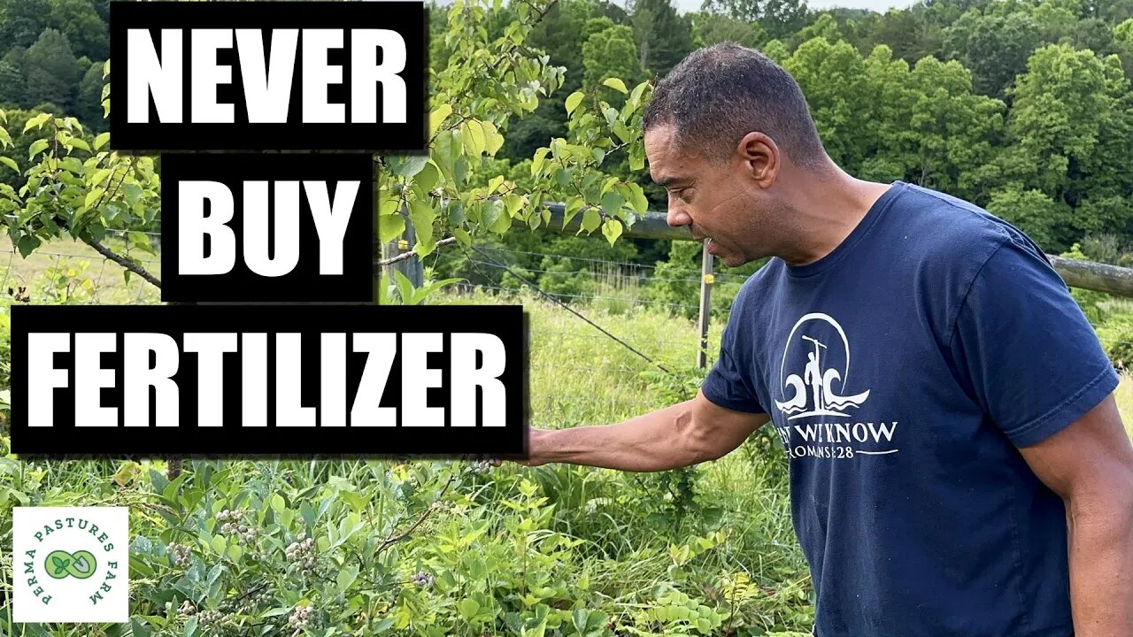 Stop Buying and GROW Your Own Fertilizer