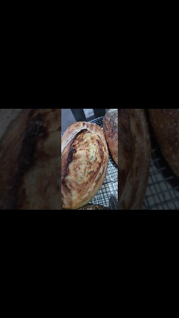 SOURDOUGH BAKING #sourdough #lievitomadre #bread