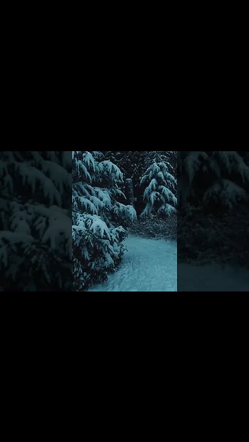 Would you walk there?