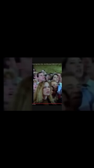 Video of Shelly Miscavige | Link to full video below