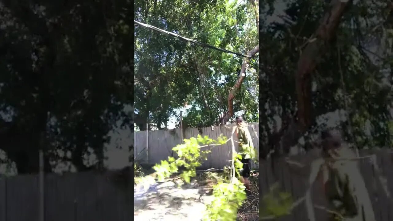 Hurricane Ian Relief 3