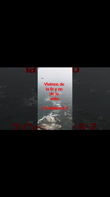 Verso Del Día | Lectura Inspiradora Para Empezar El Día. | 50