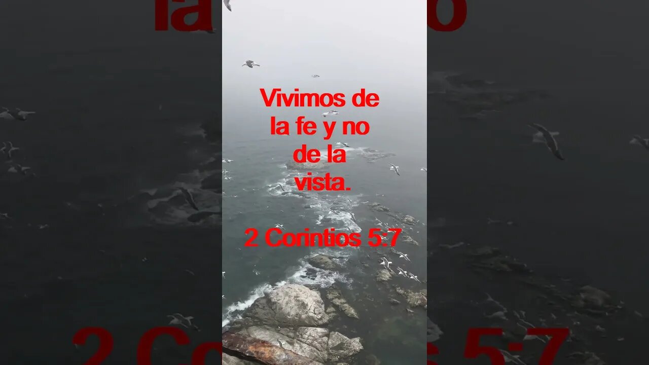 Verso Del Día | Lectura Inspiradora Para Empezar El Día. | 50