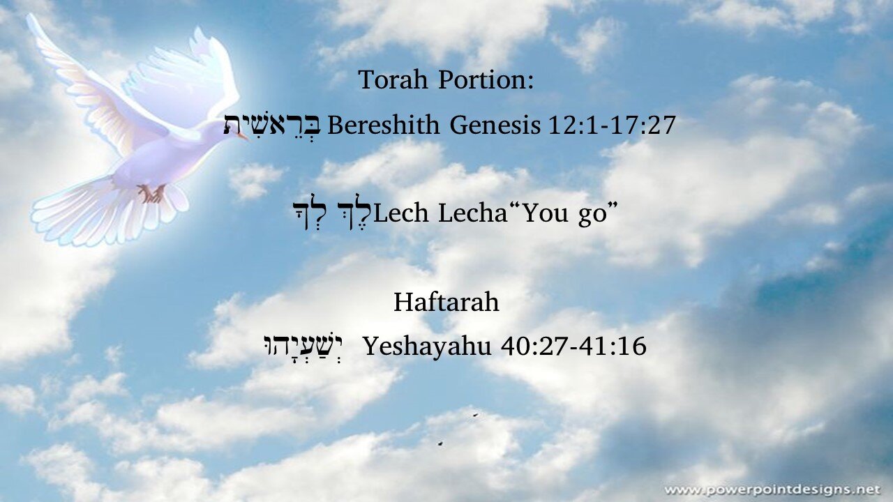 Torah Portion Lech Lecha 1102321