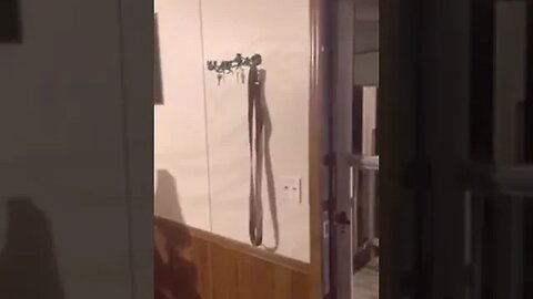 TYRANT COPS HARASS FAMILY INSIDE HOME