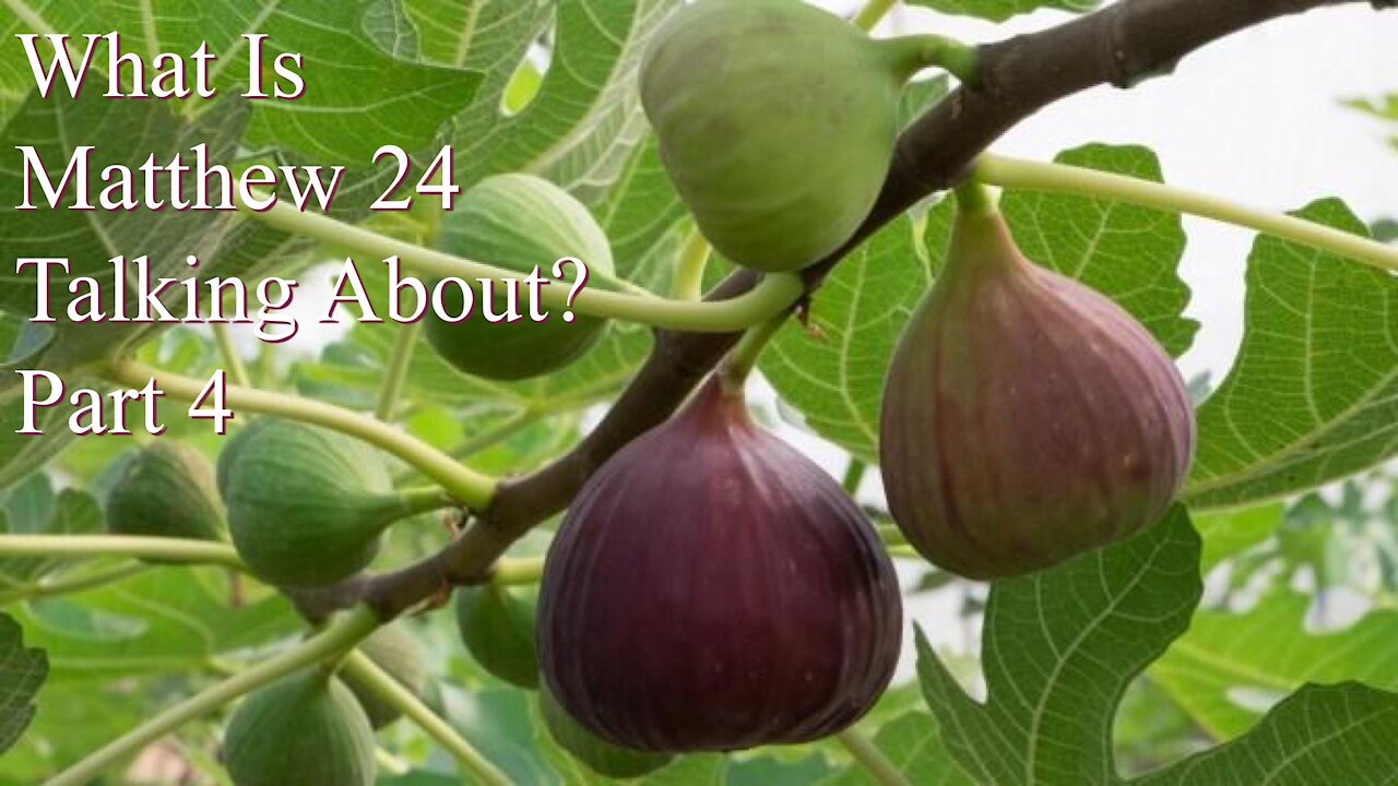 What Is Matthew 24 Talking About? Part 4