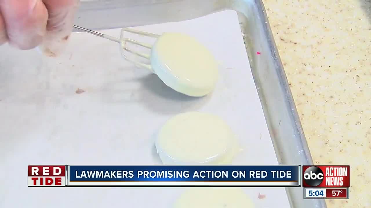 Pinellas residents hope Florida legislators keep promise to fight red tide