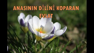 #menkıbe EN GÜZEL MENKIBELERDEN BİR BÖLÜM / "ANASININ DİLİNİ KOPARAN EVLAT"