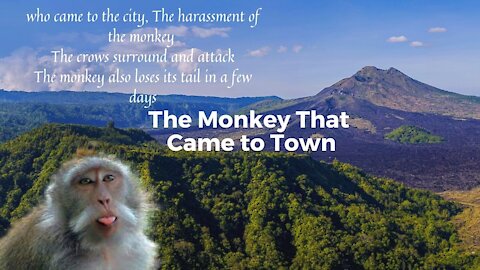 The Monkey That Come to Town