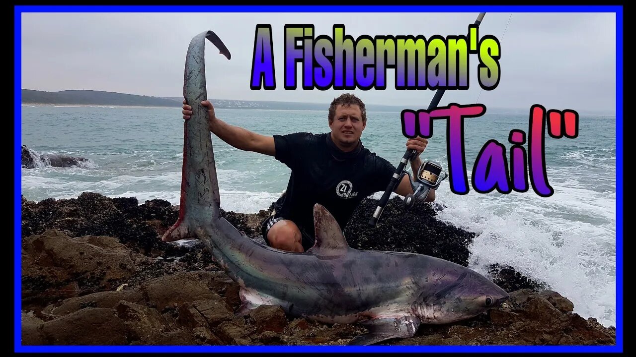 THRESHER SHARK caught LAND BASED! a SHARK that KILLS HIS PREY with his LONG TAIL!