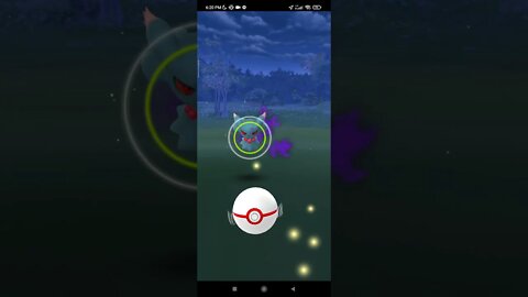 Pokémon GO-Shadow Misdreavus