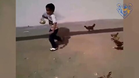 Funny animal attack. 99% try very hard to not laugh.