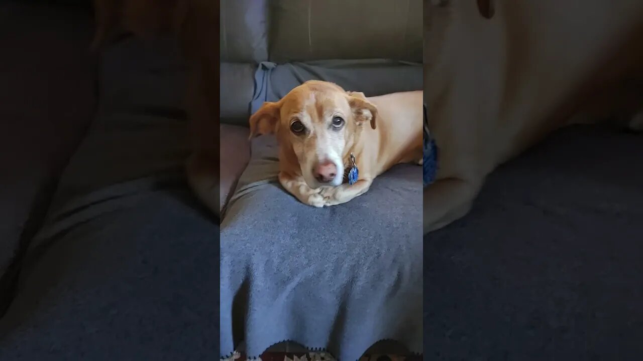 Waking up the old man.