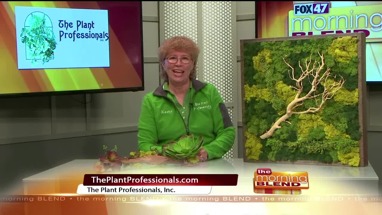 The Plant Professionals - 10/15/20