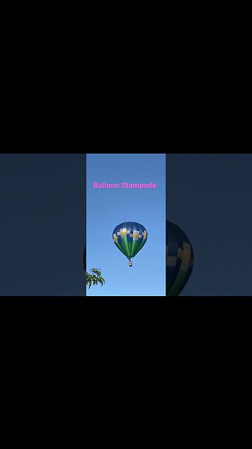 Balloon stampede. Not a Chinese spy balloon-lol #balloon #inventions