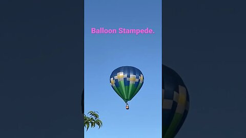 Balloon stampede. Not a Chinese spy balloon-lol #balloon #inventions