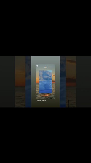 Going swimming shark