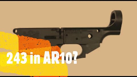 psa AR 10 243 win lower