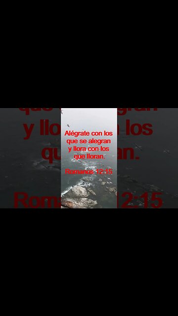 Verso Del Día | Lectura Inspiradora Para Empezar El Día. | 93