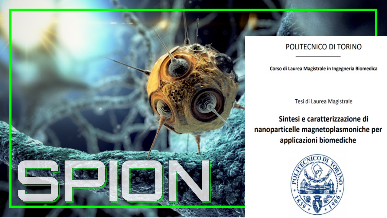 Nanoparticelle SPION-Magnetiche-Vaccinati Magnetici-Risposte Politecnico Torino parte finale-Nanobot & Nanotech- SuperParaMagnetiche