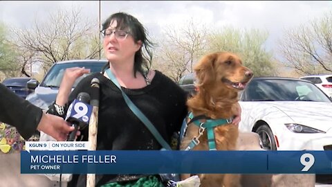 Hand-Dogs is helping Tucsonans throughout pandemic